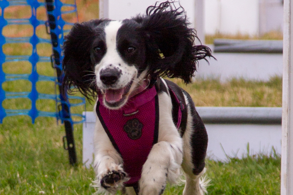 GroundDog Day 2023